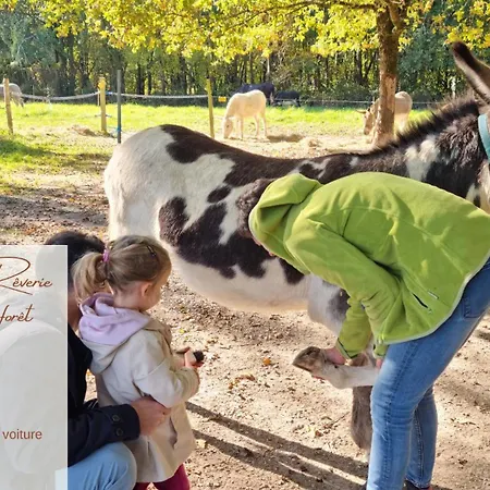 Apartamento Quai 3 Loft Moderne Et Lumineux Les Pieds Dans L'eau