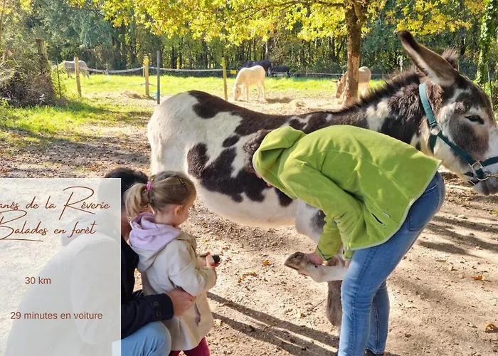Appartement Quai 3 Loft Moderne Et Lumineux Les Pieds Dans L'eau